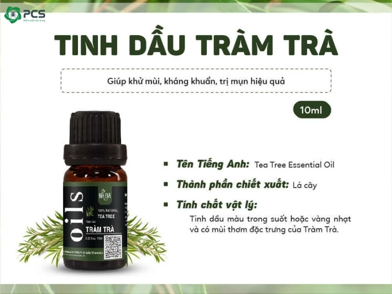 Diệt rệp giường tận gốc 